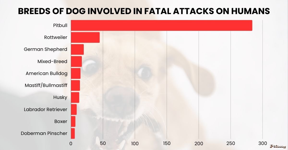 a stat of breeds of dog involved in fatal attacks on humans