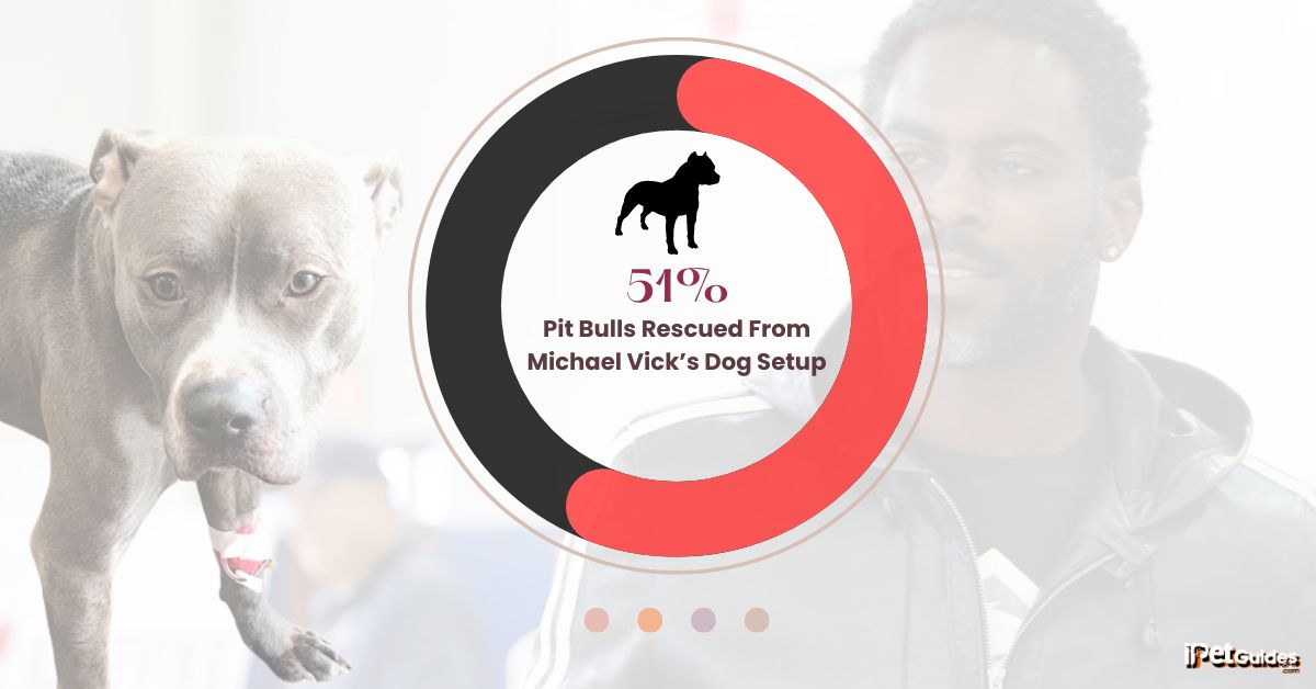 a stat showing that 51% pit bulls rescued from michael vicks dog setup