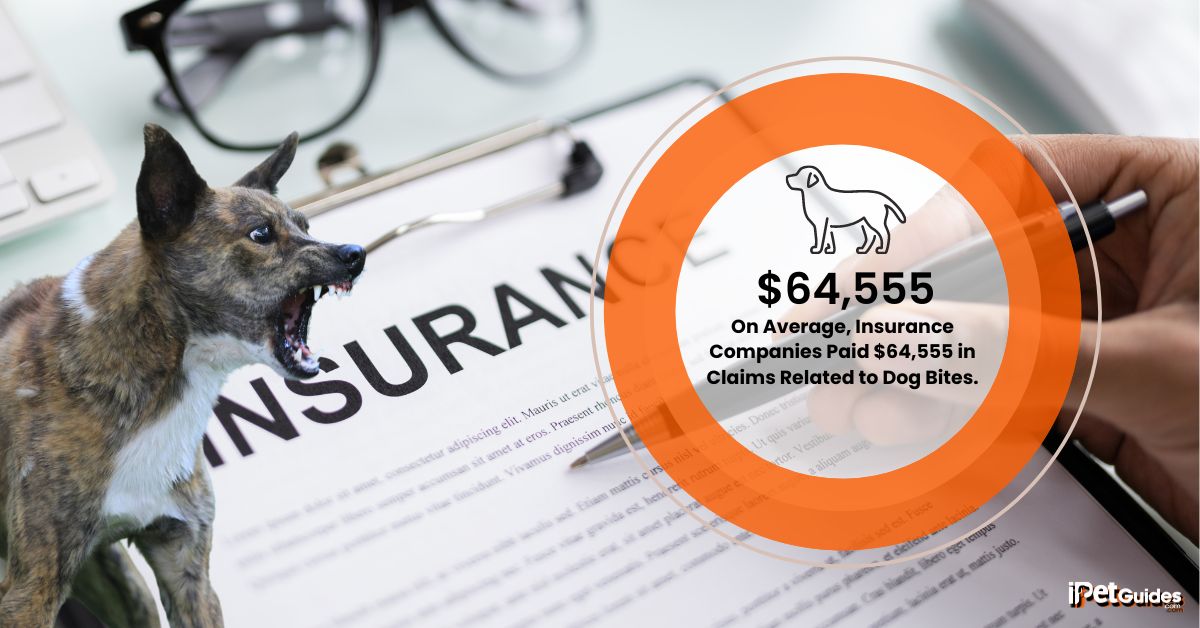 a stat showing that there on Average Insurance Companies Paid $64555 in Claims Related to Dog Bites