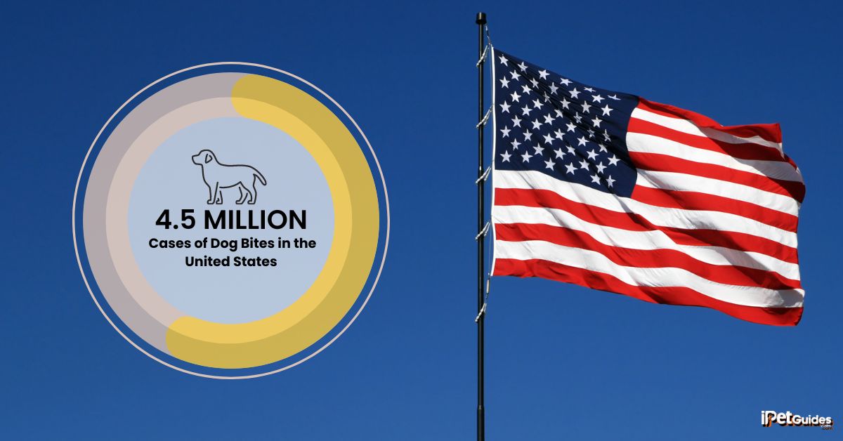 a stat showing that there were Reported 4.5 Million Cases of Dog Bites in the United States