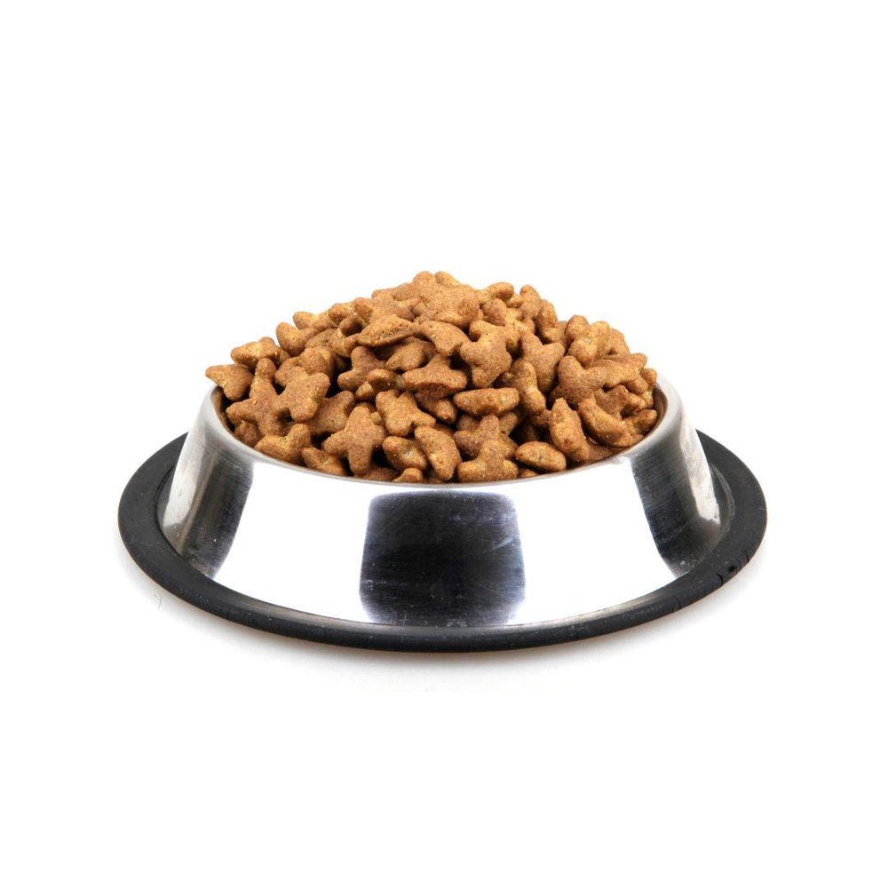 iPetGuides Brown Rice and Potato Dog Food in a bowl