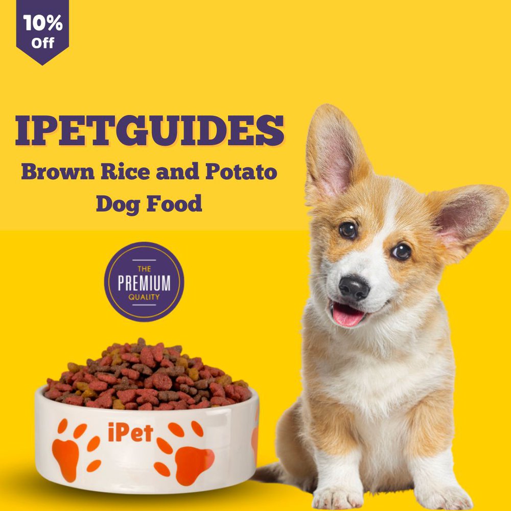 iPetGuides Brown Rice and Potato Dog Food