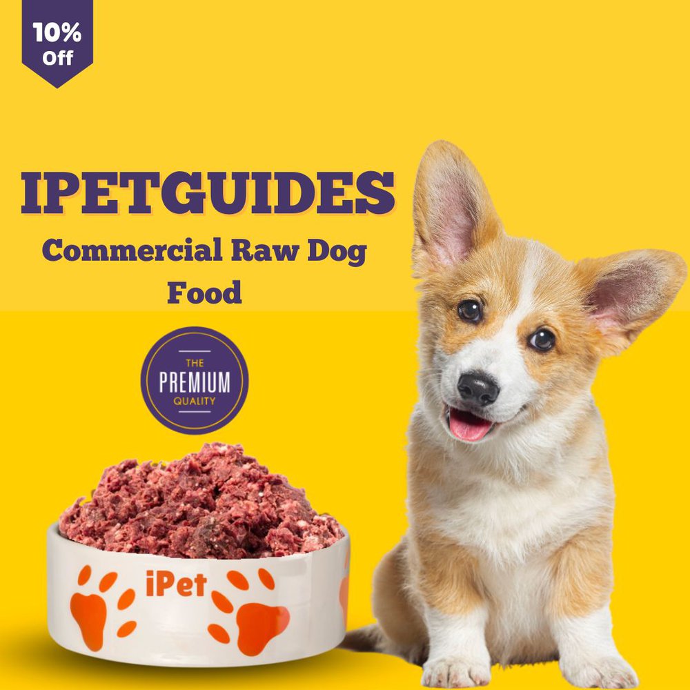 iPetGuides Commercial Raw Dog Food
