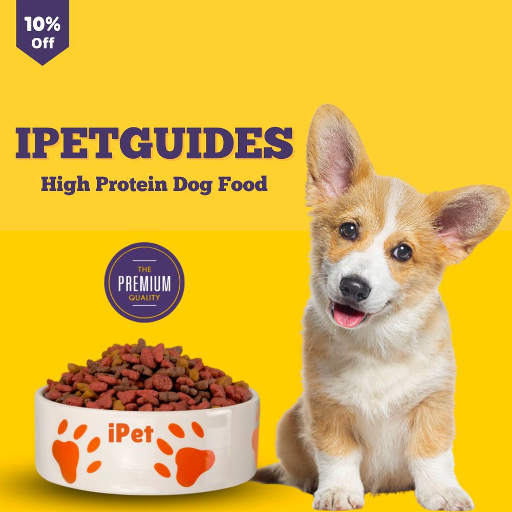 iPetGuides High Protein Dog Food Banner
