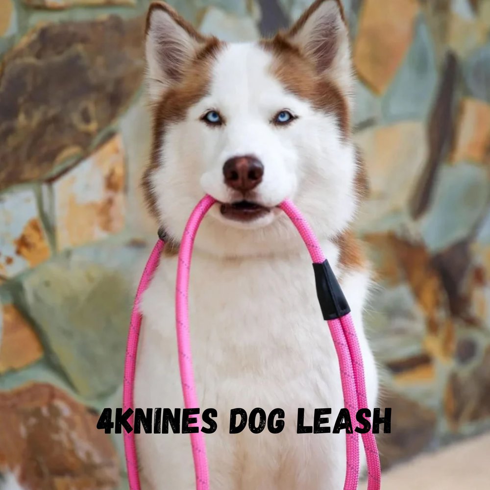 a dog holding a 4knines dog leash in its mouth