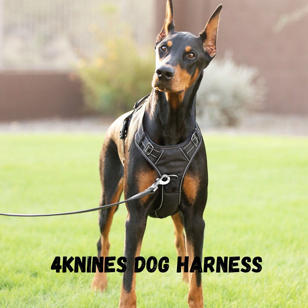 a dog wearing a 4knines dog harness standing in a grass field