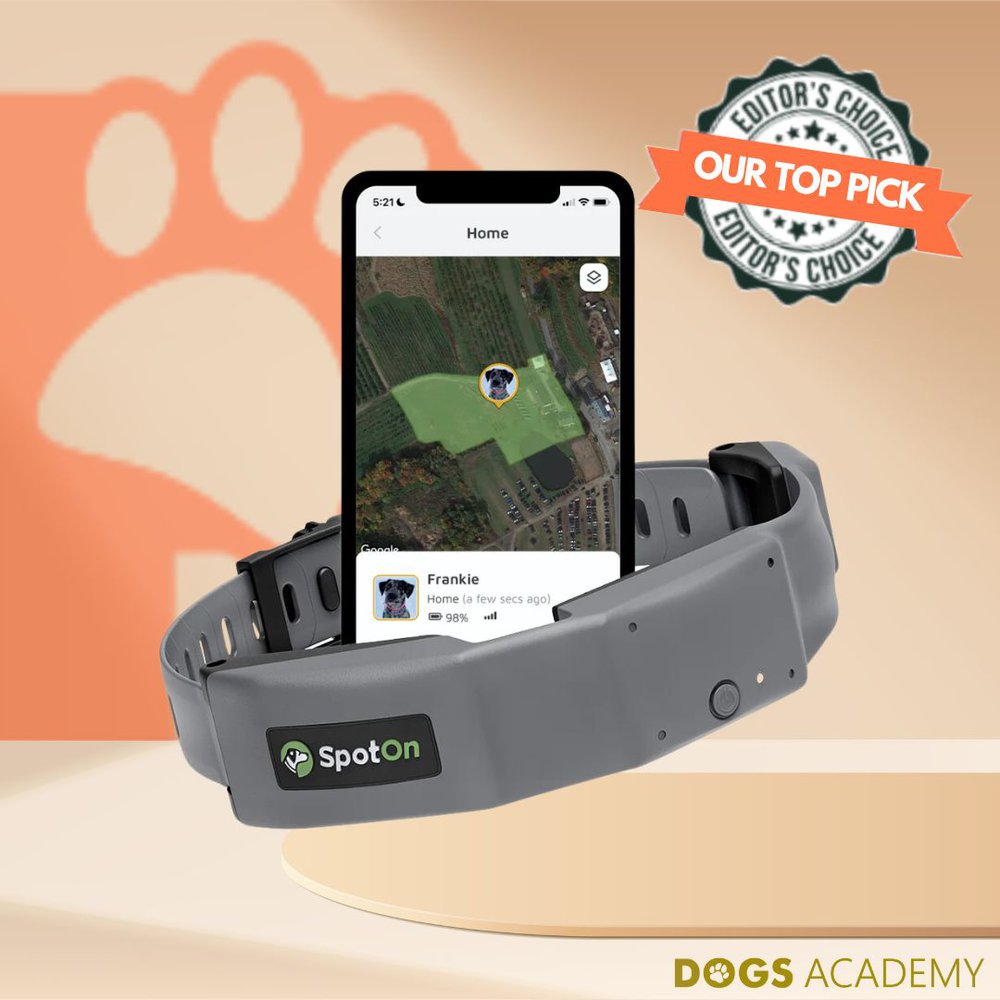 Spoton GPS Dog Fence