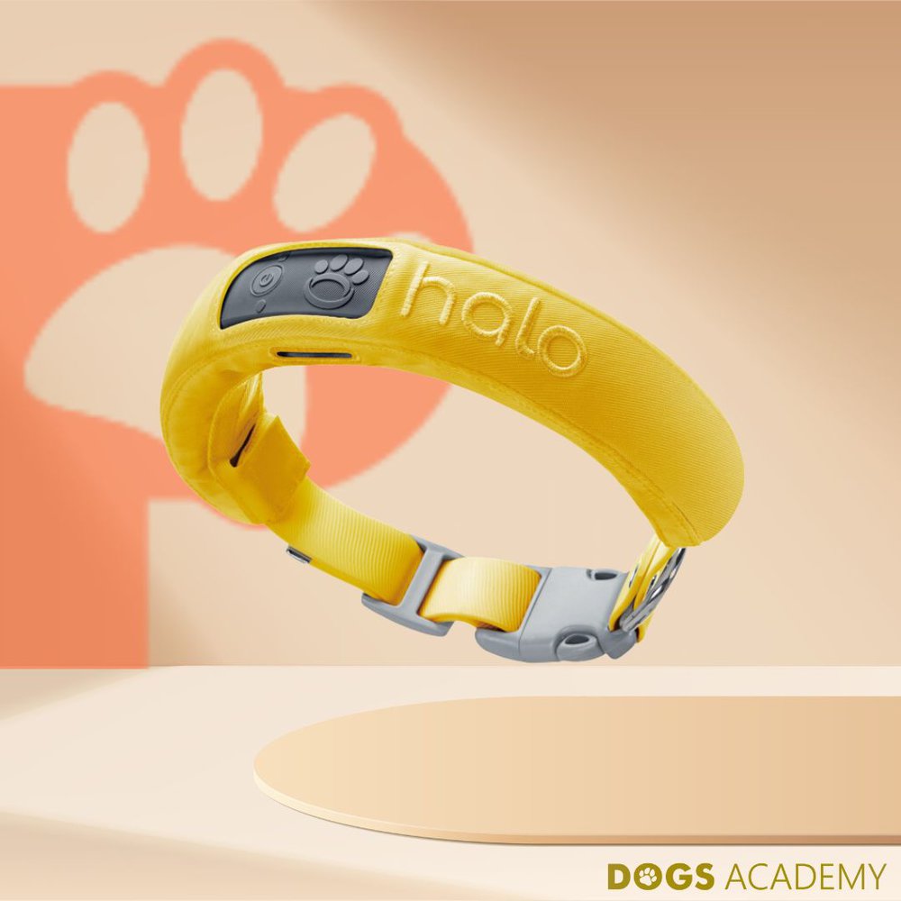 Spoton gps dog fence