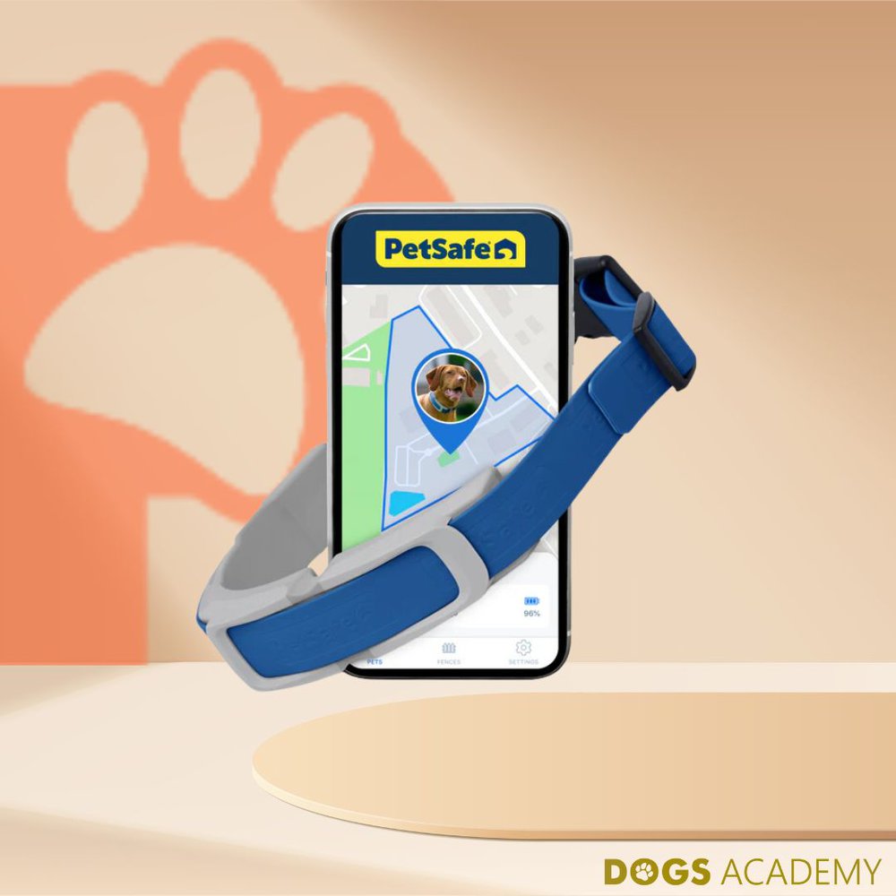 PetSafe guardian dog fence