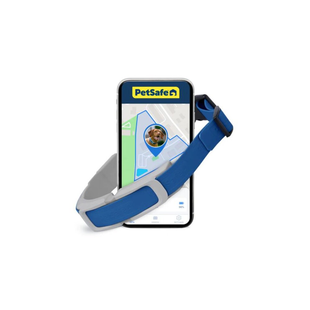 petSafe guardian collar