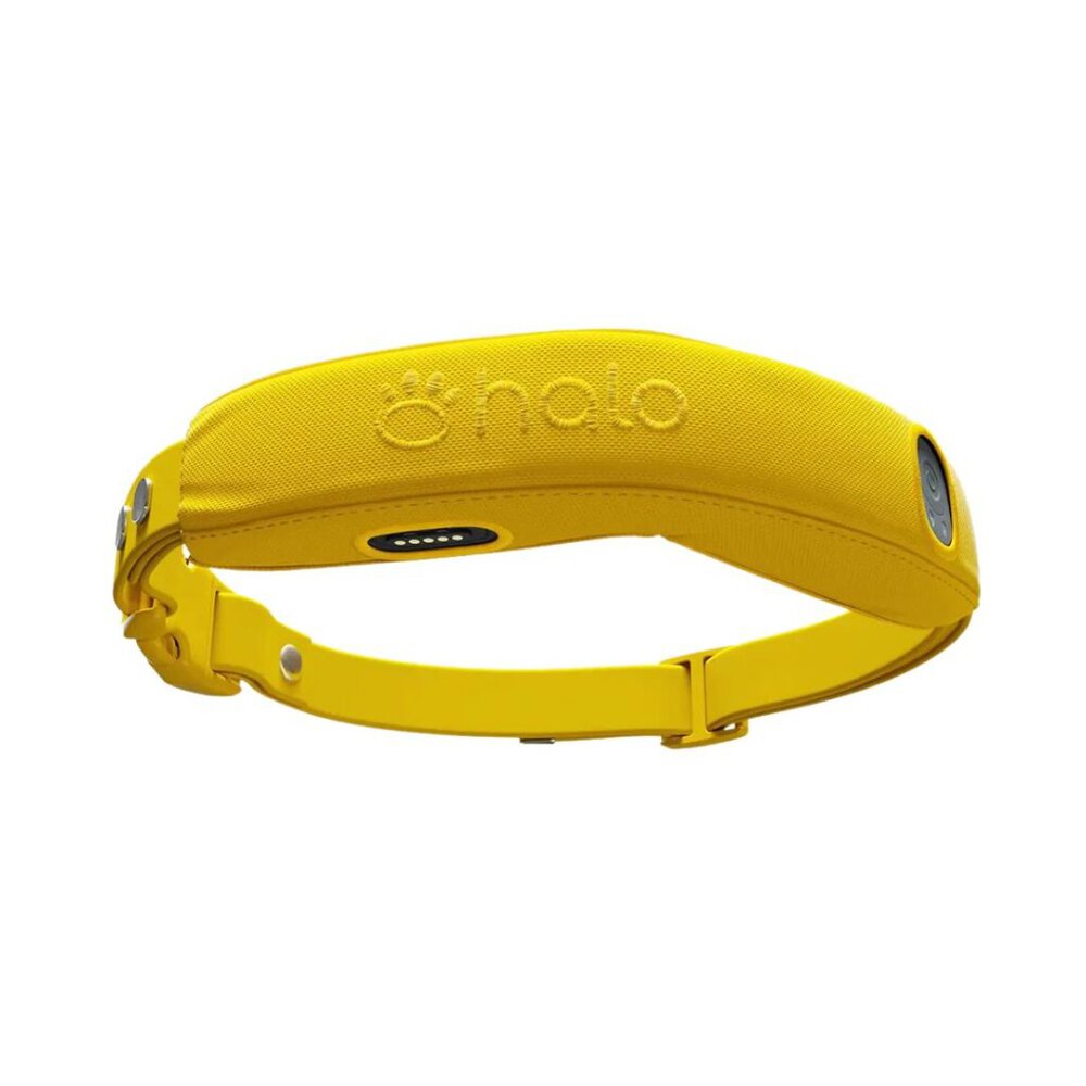 Halo Collar 4 product image