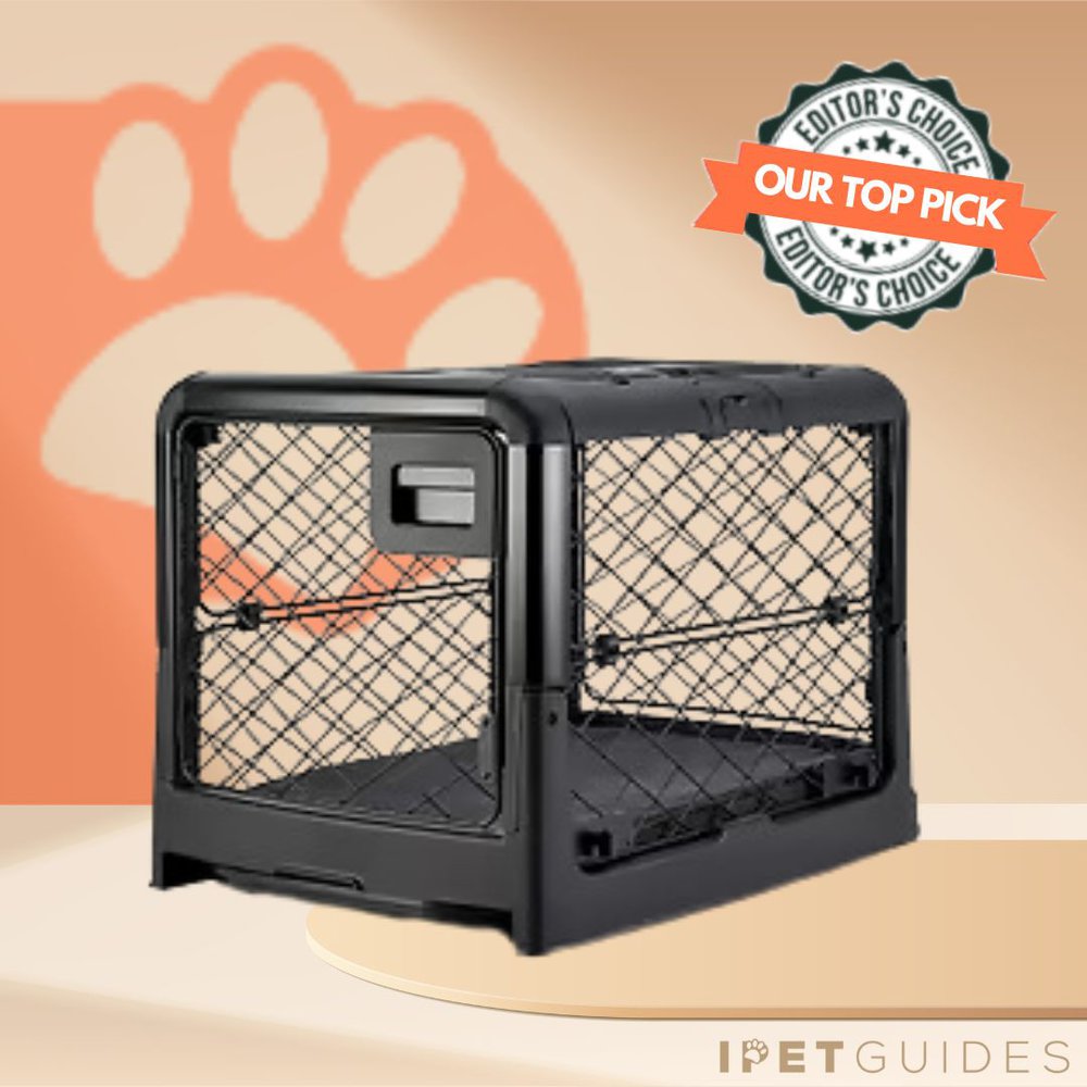 Diggs Revol product image