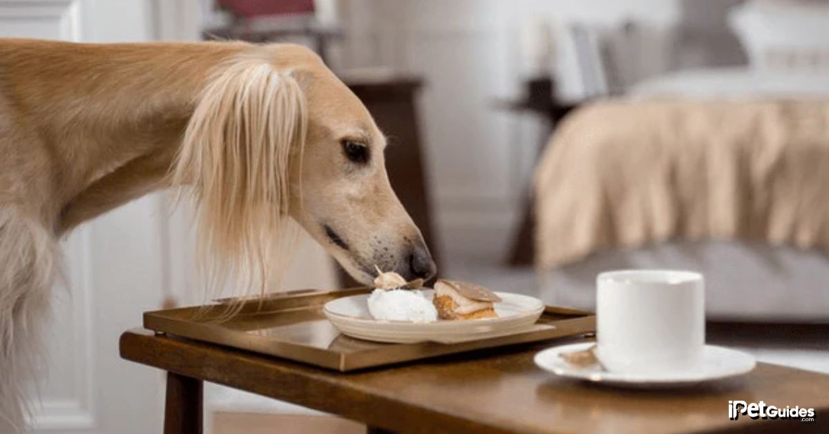 A Dog eating food that is made of butter