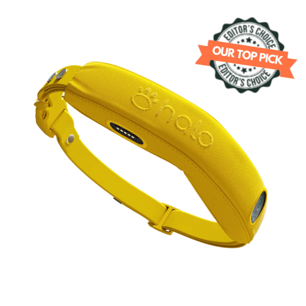 Halo 4 collar product image