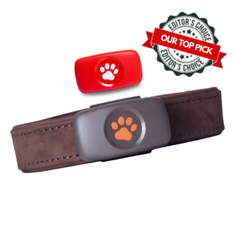 PitPat Dog GPS Tracker Collar