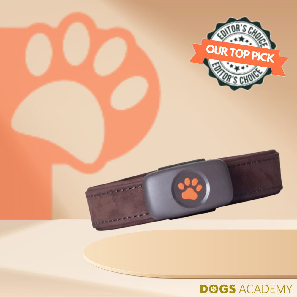 Garmin Astro 430 Tracker Product Image