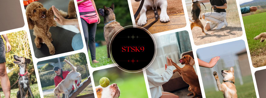 STSK9 Course